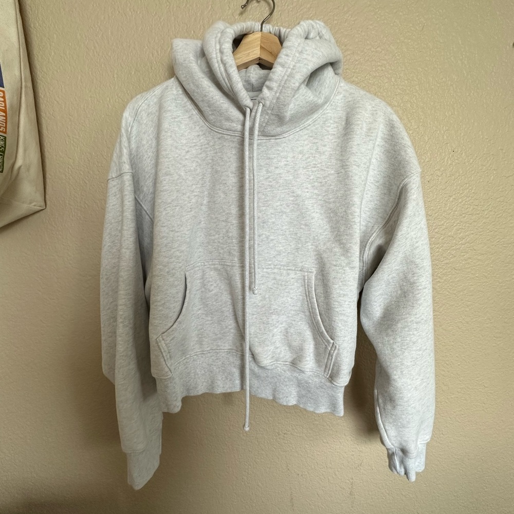 Aritzia Sweatshirt